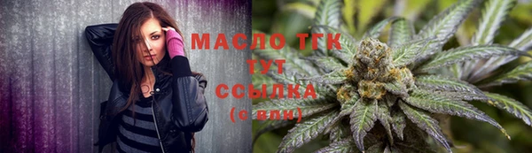 ешки Вяземский