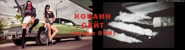ешки Вяземский