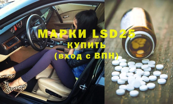 ешки Вяземский