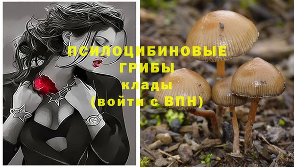 первитин Вязники
