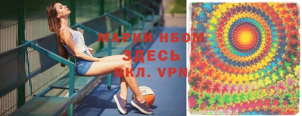 ешки Вяземский