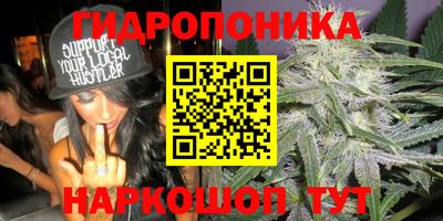 a pvp Будённовск