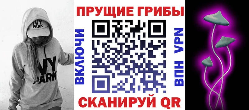 Псилоцибиновые грибы мухоморы  mega ССЫЛКА  Зеленокумск 